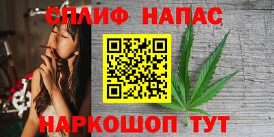 гидра Рязань